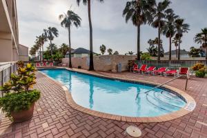 - une piscine bordée de chaises et de palmiers dans l'établissement Dolphin #20, à South Padre Island