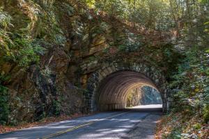 Gallery image of Mystic Falls Lodge in Waldens Creek