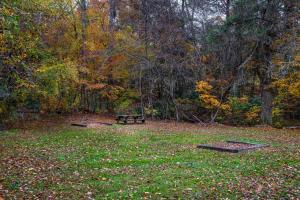 Gallery image of Mystic Falls Lodge in Waldens Creek +56 photos