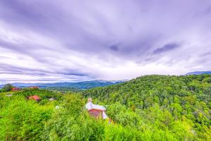 Galeriebild der Unterkunft Hogwartz of the Smokies Cabin in Waldens Creek