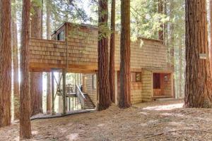 una casa sull'albero in mezzo alla foresta di The Redwood House a Fish Rock