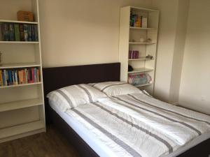 Schlafzimmer mit einem Bett und Bücherregalen in der Unterkunft Ferienhaus Sonnenblume in Hameln