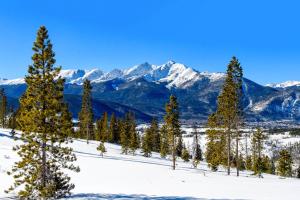 a group of trees in the snow with mountains in the background at Liftside Condominiums 203 in Keystone