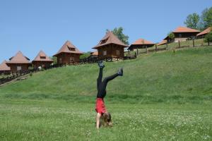 Imagen de la galería de Eko selo Kostunici, en Koštunići 16 fotos más