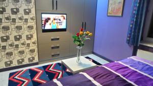 TV a/nebo společenská místnost v ubytování Apartment Sejko
