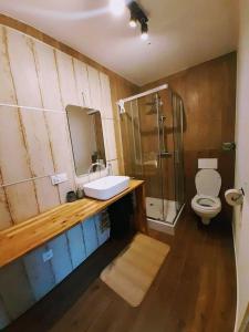 a bathroom with a sink and a shower and a toilet at Gołubski Loft in Gołubie