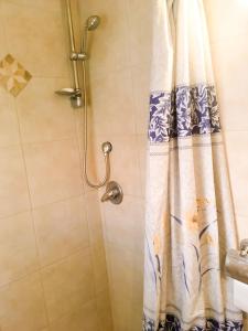 a shower with a shower curtain in a bathroom at Rio desert view apartment in Arad +27 photos