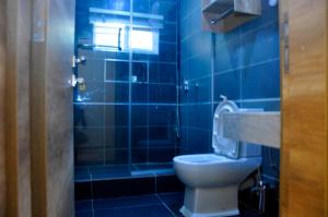 a blue tiled bathroom with a toilet and a sink at Lit Suites in Abuja