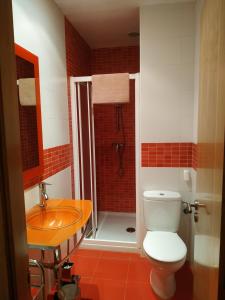 łazienka z prysznicem, toaletą i umywalką w obiekcie Apartamentos Arribes la Corredera w mieście Aldeadávila de la Ribera