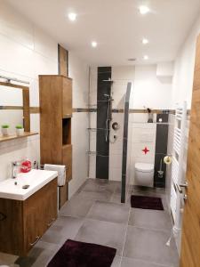 La salle de bains est pourvue d'une douche, d'un lavabo et de toilettes. dans l'établissement Haus in der Kurve, à Kappl