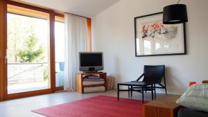 皮森多夫的住宿－奧夫博格1113公寓，客厅配有电视和椅子