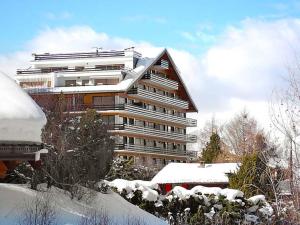 Το Appartement Panoramic τον χειμώνα