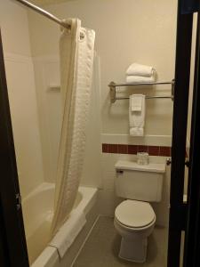 een kleine badkamer met een toilet en een douche bij Boarders Inn and Suites by Cobblestone Hotels - Ripon in Ripon