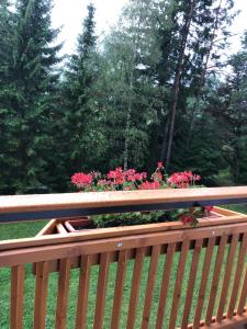 Ogród w obiekcie Karwendel-Lodge