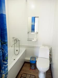 アナパにあるЧастный коттедж "Полинка"の白いバスルーム(トイレ、シャワー付)