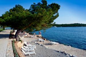 a beach with chairs and a tree next to the water at Hotel Parentium Plava Laguna in Poreč