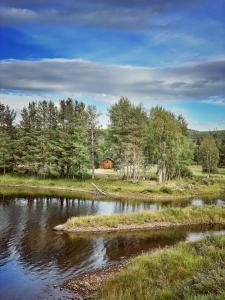 un río con una pequeña isla en el medio en Linsell, en Sveg