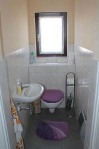 a bathroom with a sink and a toilet and a window at Ferienhaus Fam. Gottbehüt in Oberweid +17 photos
