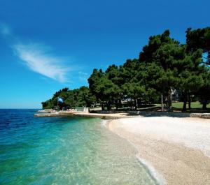 a beach with trees and the ocean on a clear day at Hotel Parentium Plava Laguna in Poreč