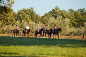 a group of people riding horses in a field at Hotel Parentium Plava Laguna in Poreč