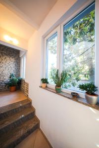 Fotografia z galérie ubytovania Apartman Antisin v destinácii Zadar