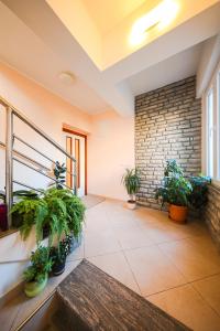 Fotografia z galérie ubytovania Apartman Antisin v destinácii Zadar