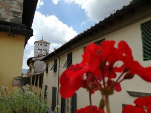 ルッカにあるPietrarosa Apartmentの時計塔のある建物前の赤花