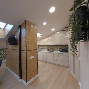 Kuchyňa alebo kuchynka v ubytovaní Two-Bedroom Apartment near Forum Lviv