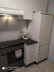 Kuchyň nebo kuchyňský kout v ubytování San Sebastian