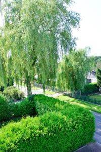 a park with a tree and bushes and a street at MIA - Ferienwohnung Wehdel bei Bremerhaven in Wehdel