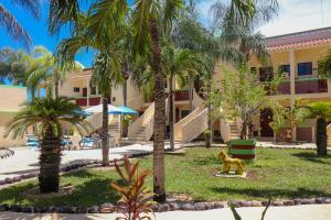 a resort with palm trees and a dog in the courtyard at Villas Coco Resort - All Suites in Isla Mujeres