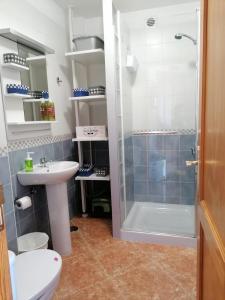 a bathroom with a shower and a toilet and a sink at Ecorestinga in La Restinga