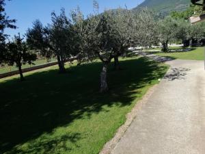 Fotografia z galérie ubytovania La Lanterna di Lanfo v destinácii Assisi