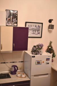 a kitchen with a refrigerator and a christmas tree on top of it at Comfortable Flat in Central Tbilisi in Tbilisi City