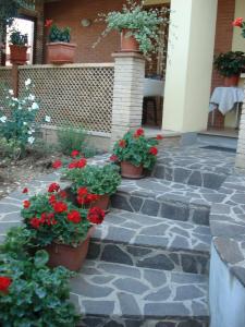 Zahrada ubytování Bed & Breakfast Ciancaleoni