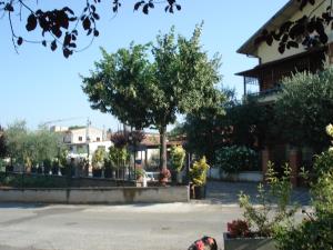 Zahrada ubytování Bed & Breakfast Ciancaleoni