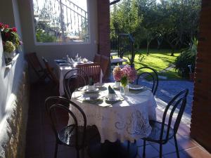 A garden outside Casa Los Abetos