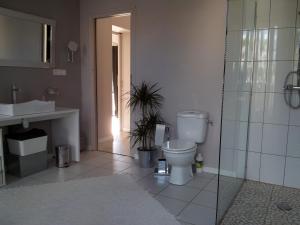 a bathroom with a toilet and a sink and a shower at Villa Zen in Narbonne +29 photos