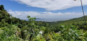 a view of the rainforest from the top of a mountain at Escale Caraibes in Trois-Rivières