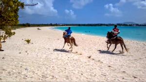 Gallery image of White Sands Anguilla - Sea in Blowing Point Village