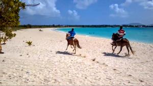 Hosté ubytování White Sands Anguilla - Sea