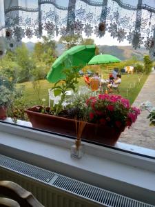 a window sill with a flower pot and an umbrella at Pensiunea Poezii Alese in Valea Drăganului