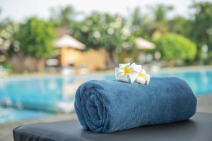 Πισίνα στο ή κοντά στο Amethyst Resort Passikudah