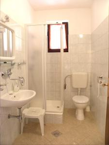 a bathroom with a shower and a toilet and a sink at Apartments Katarina in Sveti Petar