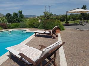 a pool with two lounge chairs and a table and an umbrella at Villa Domus Petra in Zagarolo