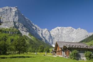 レングリースにあるFerienlandhaus Alpinumの山を背景にした畑の家