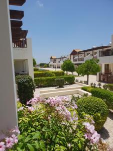 a garden with pink flowers in front of a building at Stunning apartment C106 with balcony looking over pool in Peyia