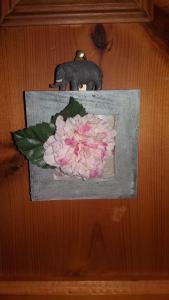 a pink flower in a box on a wooden door at Il Papavero b&b relais in Senigallia