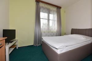 Voodi või voodid majutusasutuse Hotel Trilobit toas