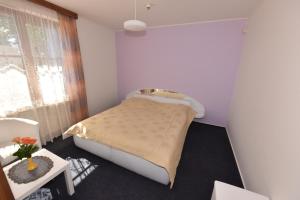 Voodi või voodid majutusasutuse Hotel Trilobit toas